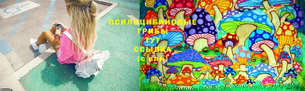 2c-b Михайлов