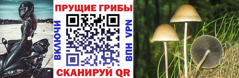 Галлюциногенные грибы ЛСД  купить закладку  Юхнов 